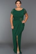 Long Green Plus Size Dress ALY5007
