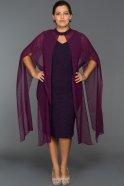 Short Violet Plus Size Dress ABK013