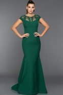 Long Emerald Green Evening Dress AN2470