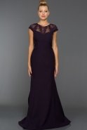 Long Dark Purple Evening Dress AN2470
