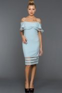 Short Blue Evening Dress DS398