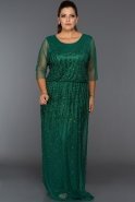 Long Emerald Green Plus Size Dress BC8854