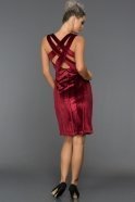 Short Burgundy Velvet Evening Dress L8026