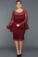 Short Burgundy Plus Size Dress ABK022