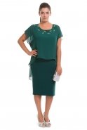 Emerald Green Large Size Evening Dress AL8649