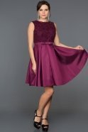 Short Purple Evening Dress ABK045