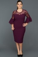 Short Purple Plus Size Evening Dress ABK081
