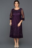 Purple Plus Size Evening Dress BC8886