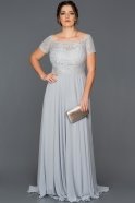 Long Grey Plus Size Evening Dress ABU146