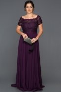 Long Purple Plus Size Evening Dress ABU146