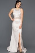 Long Ecru-Powder Color Mermaid Prom Dress ABU211