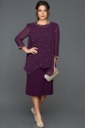 Purple Plus Size Evening Dress ABK030