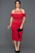 Red Plus Size Evening Dress AR37050