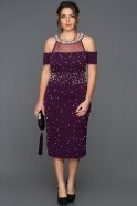 Purple Plus Size Evening Dress AR37050
