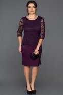 Short Purple Plus Size Evening Dress ABK057