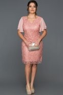 Short Rose Colored Plus Size Evening Dress ABK035