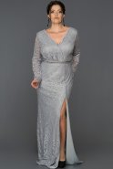 Long Grey Plus Size Evening Dress ABU016