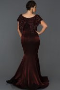 Long Burgundy Plus Size Evening Dress ABU294