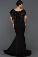 Long Black Plus Size Evening Dress ABU294