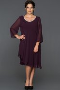 Violet Plus Size Evening Dress ABK106