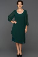 Emerald Green Plus Size Evening Dress ABK106