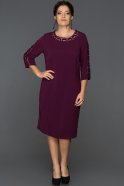 Violet Plus Size Evening Dress ABK226