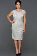 Silver Oversized Evening Dress AB7558