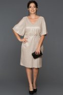 Short Mink Plus Size Evening Dress AB7559