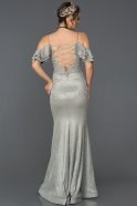 Long Grey Mermaid Evening Dress ABU356