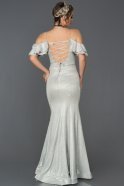 Long Silver Mermaid Evening Dress ABU356