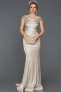 Long Mink Mermaid Prom Dress ABU292