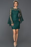 Short Emerald Green Evening Dress ABK009