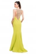 Long Pistachio Green Evening Dress O3913