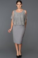 Short Grey Plus Size Evening Dress ABK105