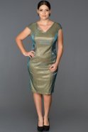 Short Green Plus Size Evening Dress AB7550