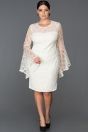Short White Plus Size Evening Dress ABK009