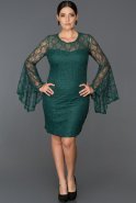Short Emerald Green Plus Size Evening Dress ABK009