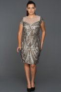 Short Grey Plus Size Evening Dress ABK054