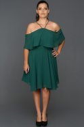 Short Emerald Green Plus Size Evening Dress ABK032