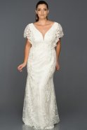 Long White Plus Size Evening Dress AB4371