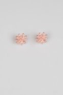 Powder Color Earring ZB001