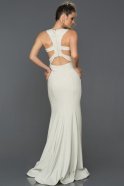 Long White-Silver Engagement Dress ABU153