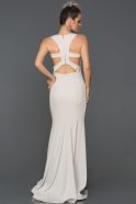 Long Lila-Silver Engagement Dress ABU153
