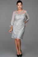 Short Grey Plus Size Evening Dress ABK039