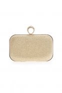 Gold Silvery Clutch Bag V257