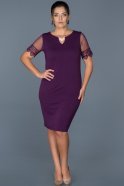 Short Purple Plus Size Evening Dress ABK212
