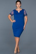 Short Sax Blue Plus Size Evening Dress ABK212