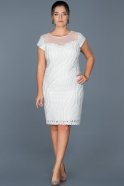 Short White Plus Size Evening Dress ABK011