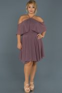 Short Lavender Plus Size Evening Dress ABK032