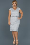 Short Silver Plus Size Evening Dress ABK218